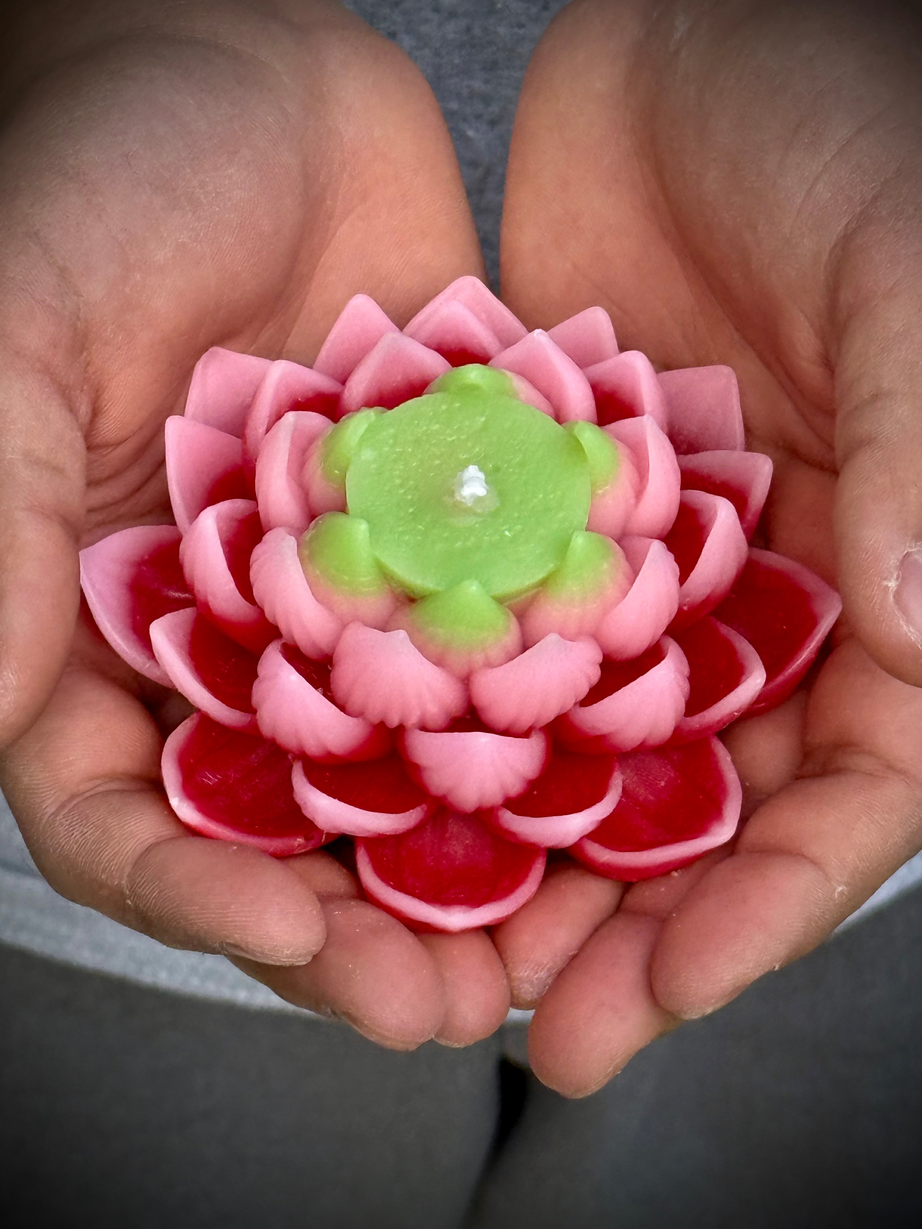 Lotus Candle Pink Tips and Red Petals