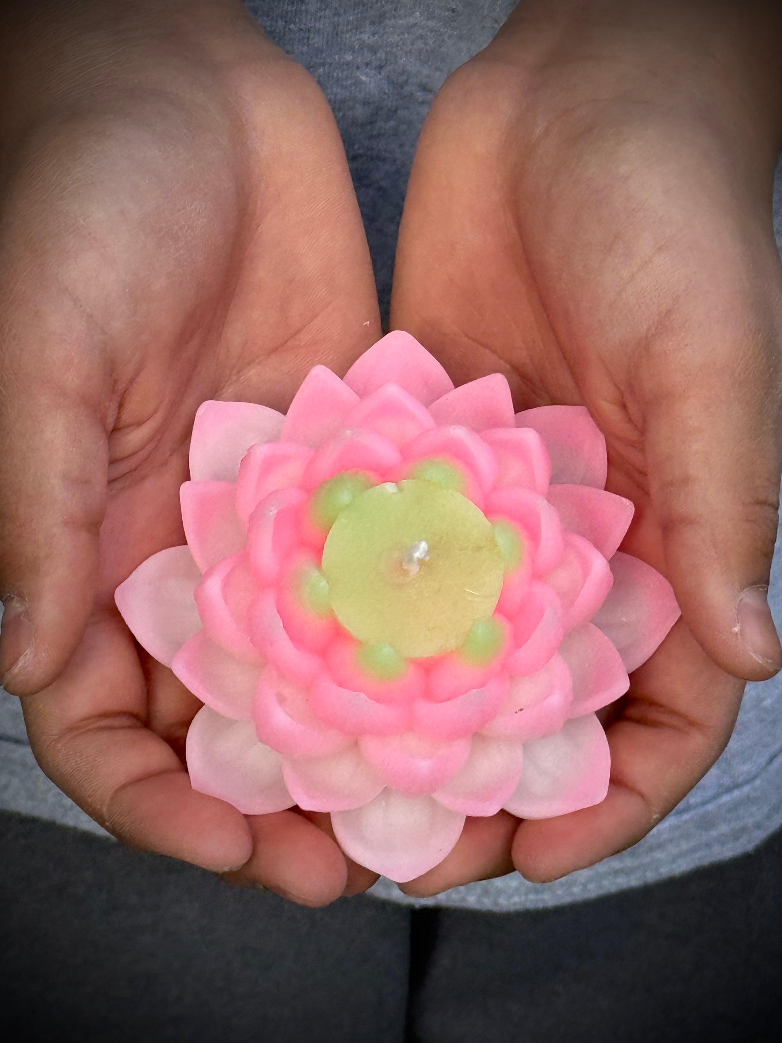 Lotus Candle Pink Tips and White Petals